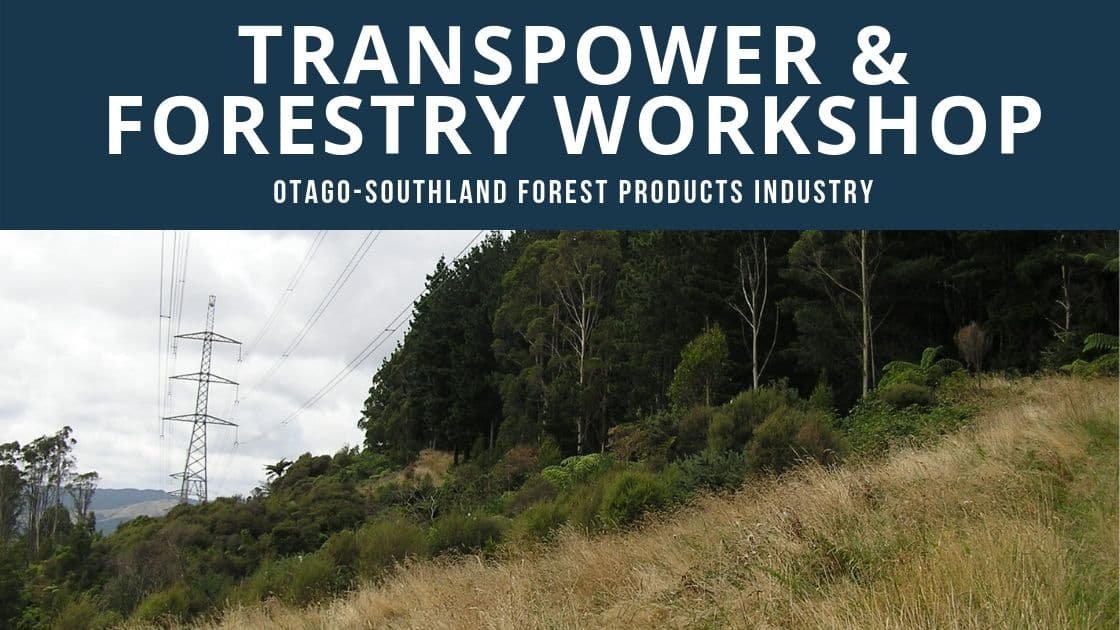 Featured image for “Transpower / Forestry Workshop [2 Oct 2019]”