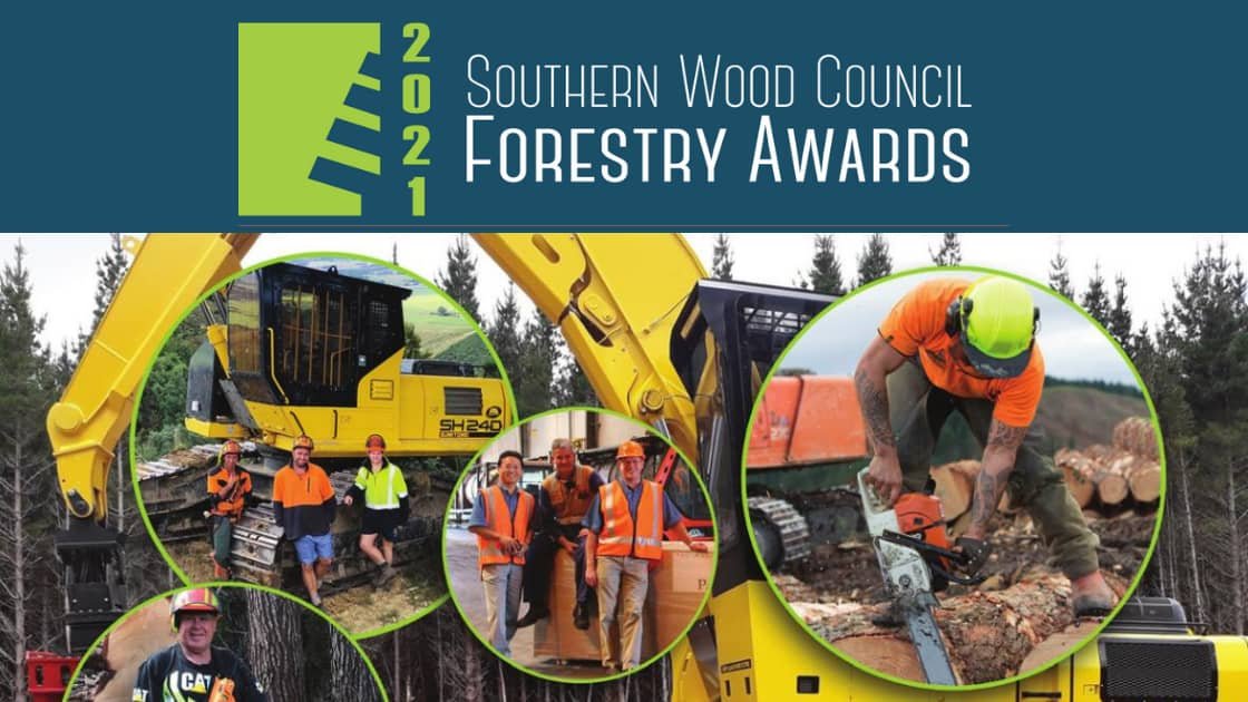 Featured image for “The 2021 Southern Wood Council Forestry Awards”