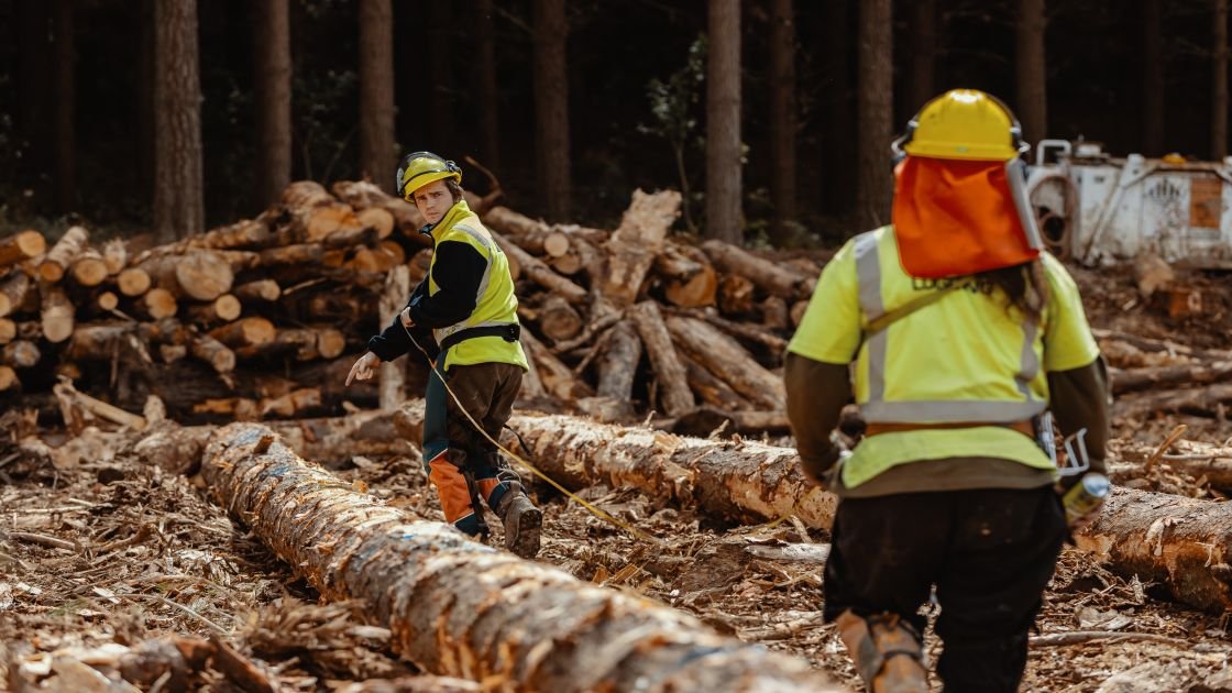 Featured image for “Funding support for local Forestry Pathways Programme”