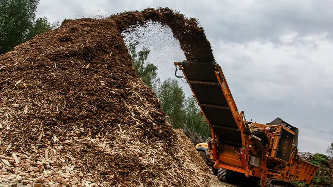 Featured image for “New funding for contractors for biomass innovation”