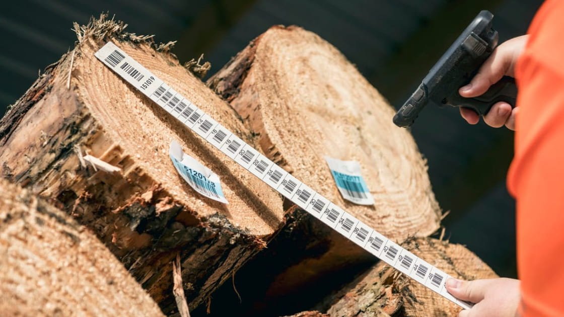 Featured image for “NZ log market update – January 2024 (Forest360)”