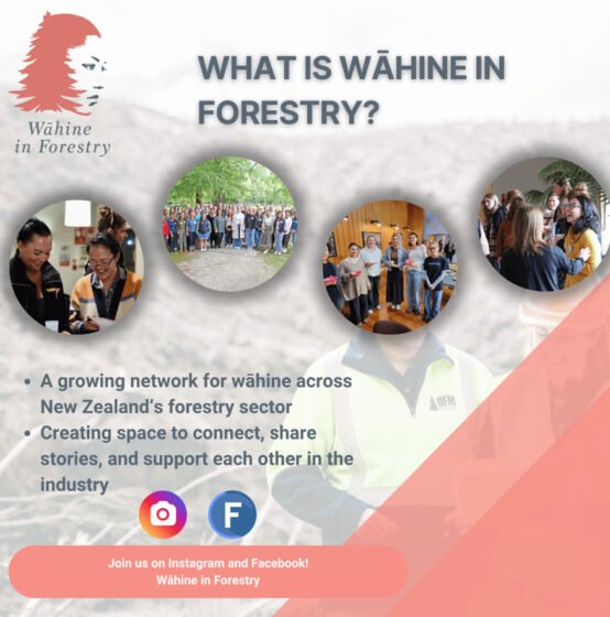Wāhine in Forestry Event brochures